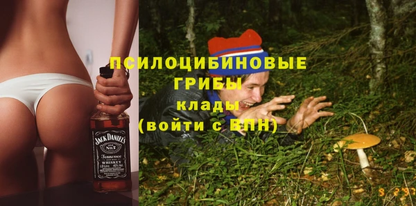 винт Краснослободск