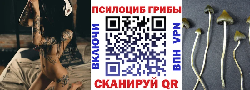 Галлюциногенные грибы Cubensis  Микунь 